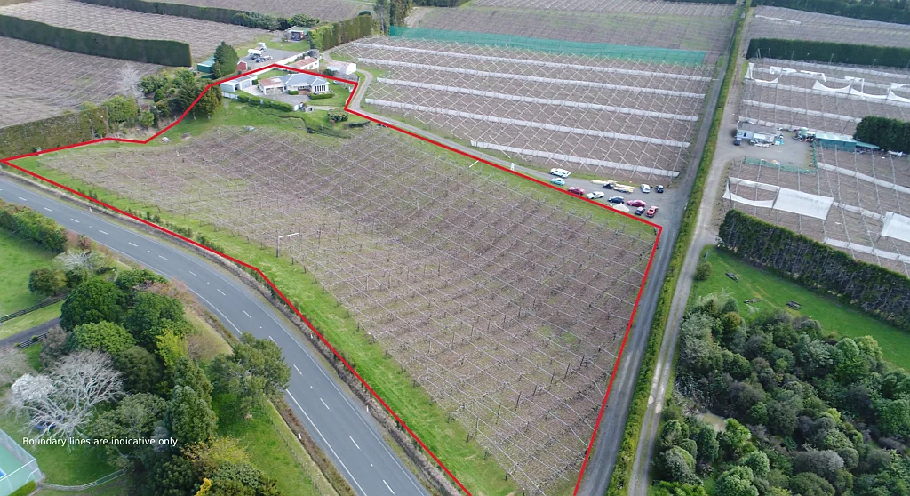 Te Puke Green Kiwifruit orchard with lifestyle appeal