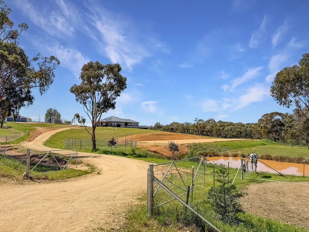 Young 4房  Modern Family Lifestyle on 11 Acres – Pool, Shedding & Horse Facilities