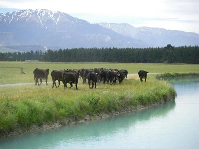 Rural B