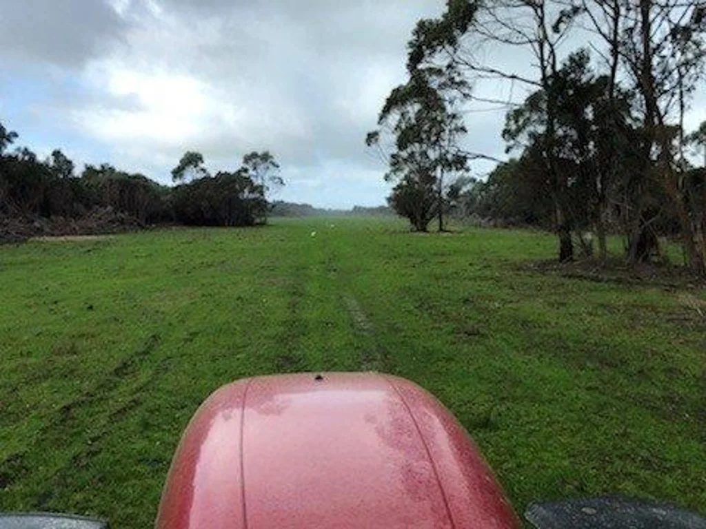 Loorana King Island Native Timber