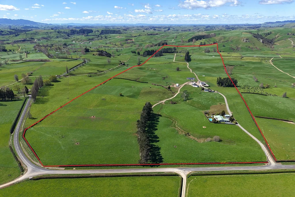 Maihiihi Quality Improvements, Outstanding Production