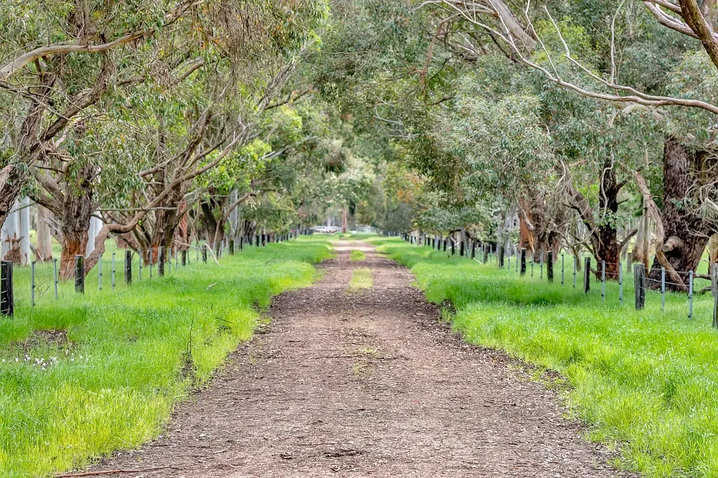 West Coolup PRIME RURAL