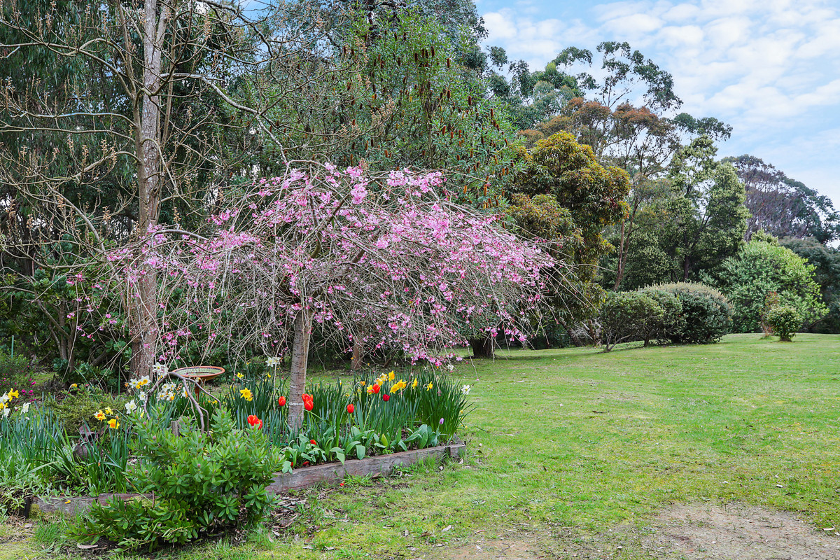 135 BUSHBYS RD, BARONGAROOK VIC 3249, 0 Bedrooms, 0 Bathrooms, Lifestyle Property