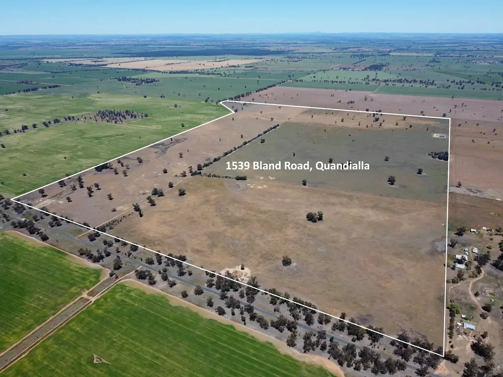 Quandialla 601 Acres – Quality Mixed Farming Country in the Quandialla District