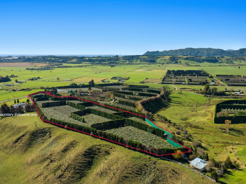 31 Clark Cross Road, Opotiki Coastal, Opotiki, 0 habitaciones, 1 baños