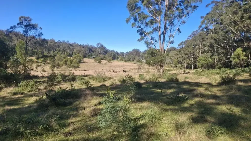 Cabarlah Lot 7 Donovan Road, Cabarlah - 7.02 Hectares of Prime Rural Opportunity