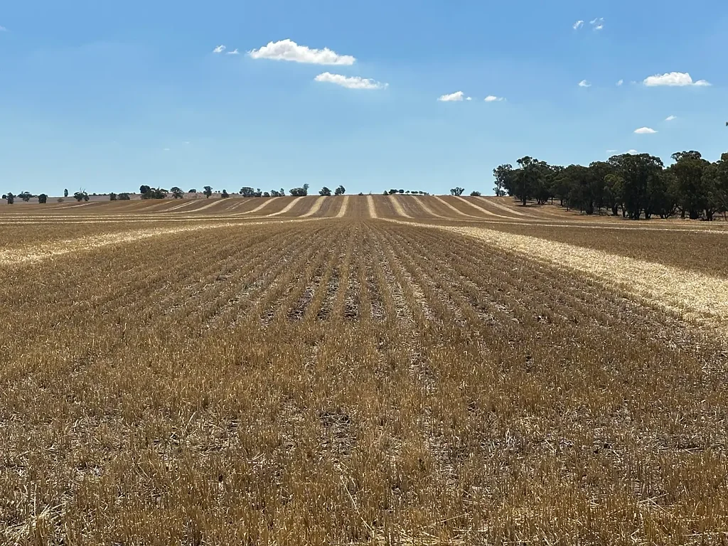 Tootool  200 Acres Cropping Country