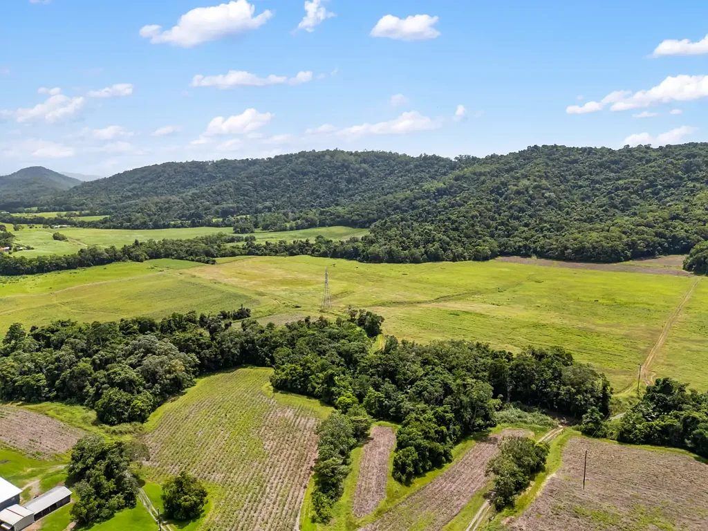 Cassowary CASSOWARY ESTATE - Affordable lifestyle acreage lots