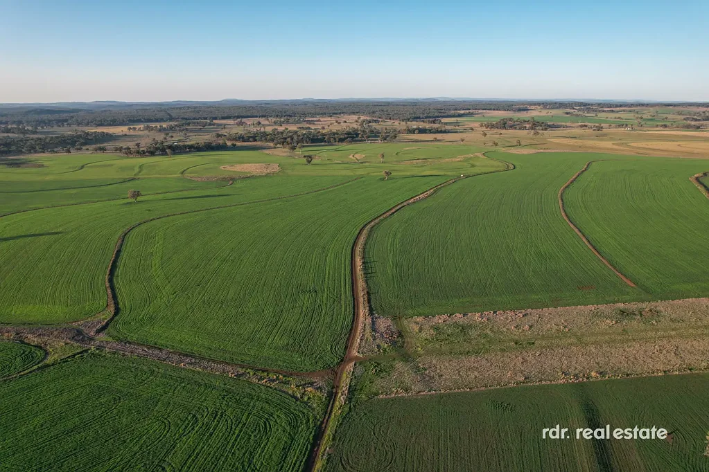 Inverell PINDAROI STATION