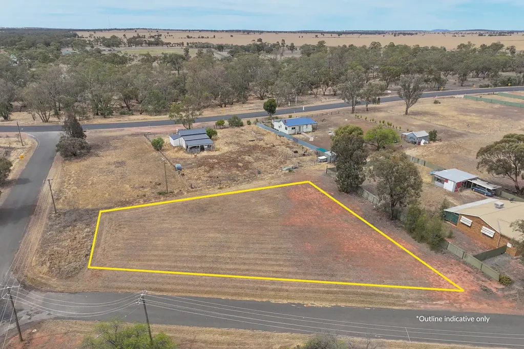 9 Herbert Street, Ungarie, NSW 2669