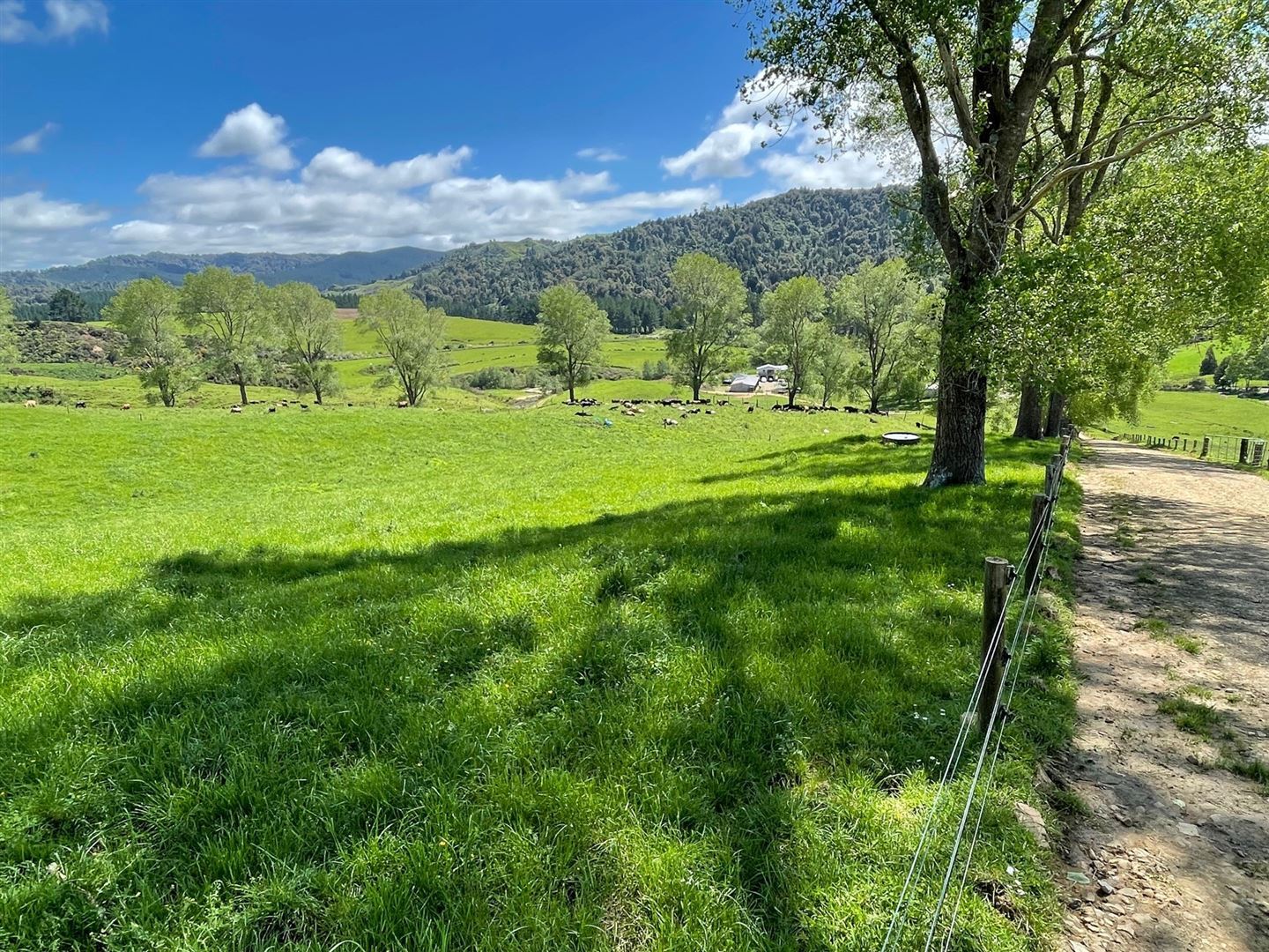 67 Okoko Road, Otorohanga, Otorohanga, 0 ਕਮਰੇ, 0 ਬਾਥਰੂਮ