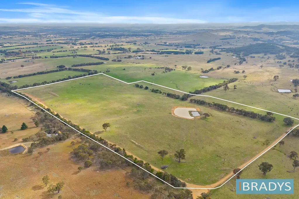 Nanima 'Valley View'