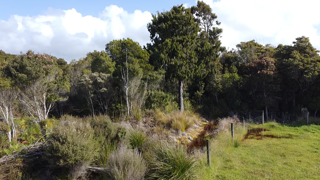 Hokitika Your Sustainable Escape Awaits!
