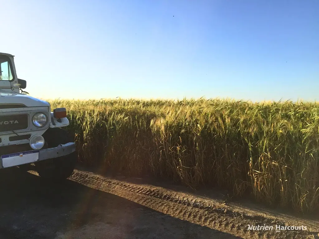 "Spion Kop" Huadanning Road, South Trayning, WA 6488