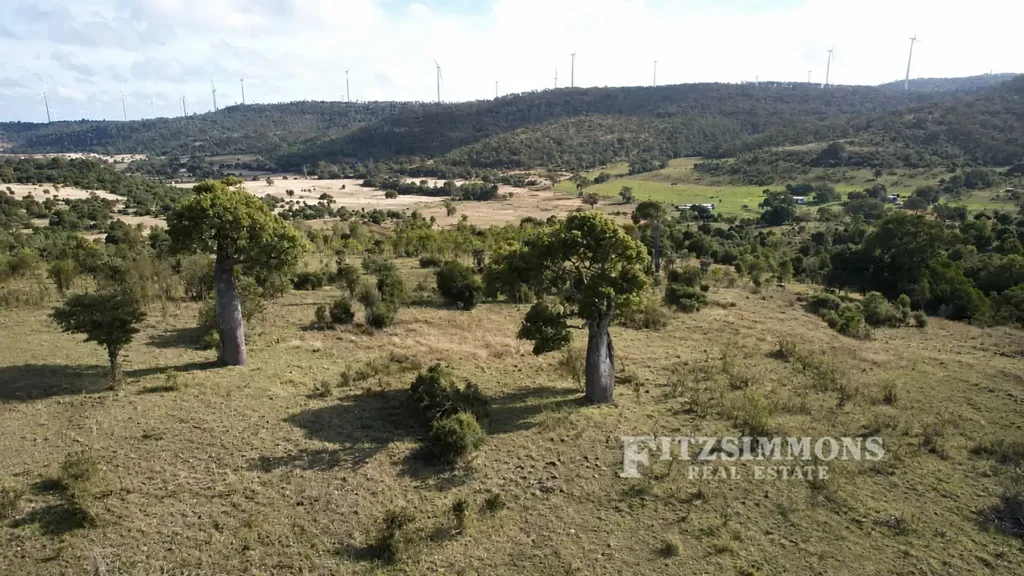 Cooranga EXCELLENT BREEDER BLOCK - 259 HECTARES WITH IMPROVEMENTS!