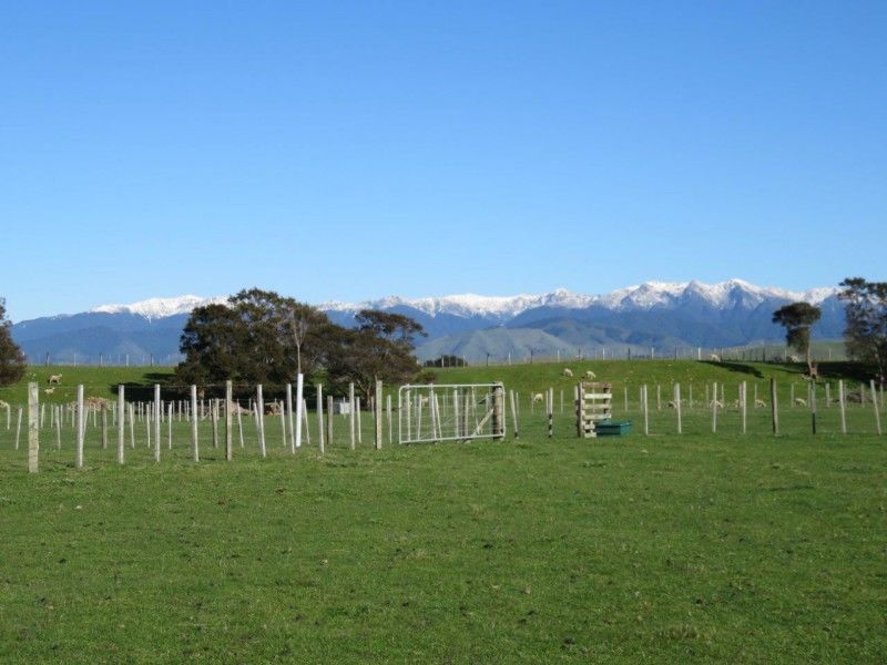 769 State Highway 2, Opaki, Masterton, 5 Bedrooms, 0 Bathrooms