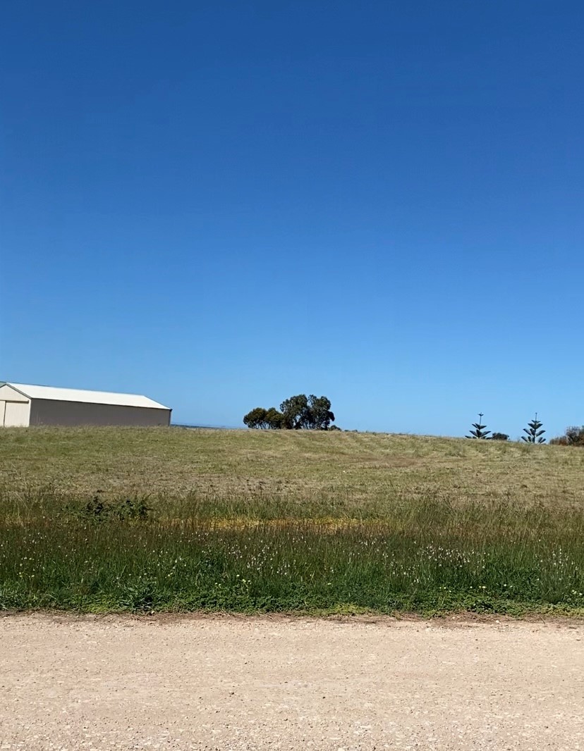 21 MUSGRAVE LANE, STANSBURY SA 5582, 0 rūma, 0 rūma horoi, Section