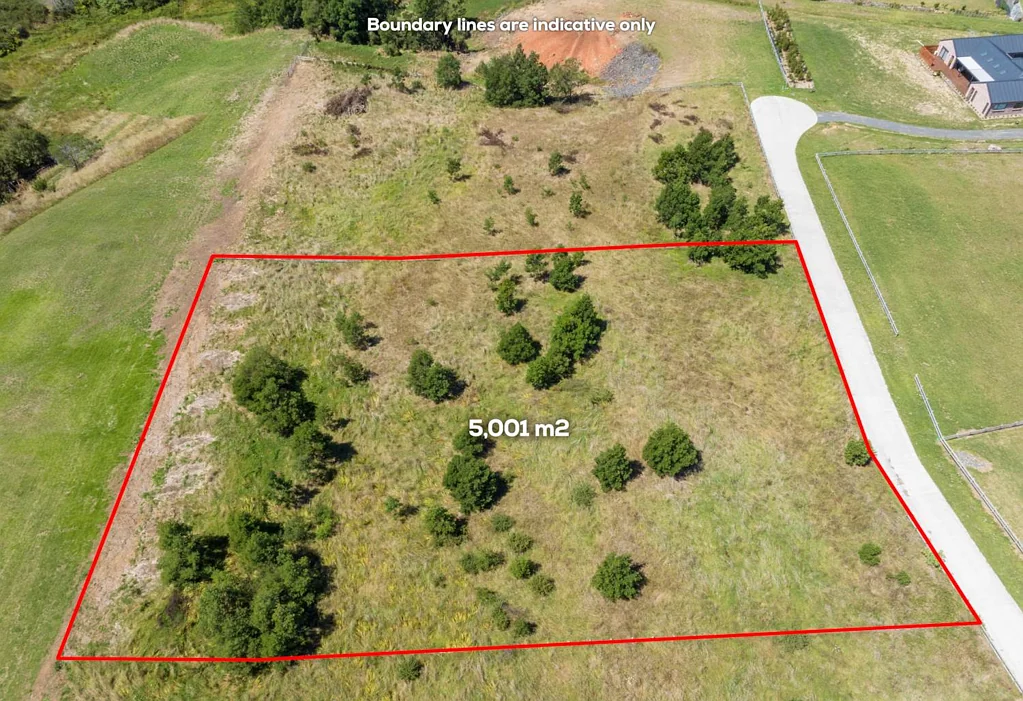 Rangiriri Endless Possibilities on 5000sqm Lifestyle Block!