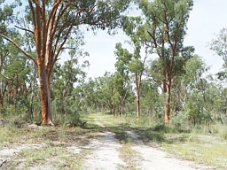 Lot 15 Ottley Road, Coolatai