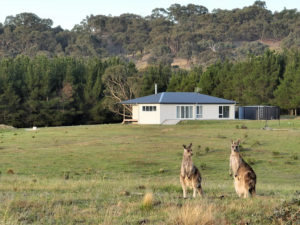 Bellmount Forest North Canberra Off-Grid Living & Grazing!