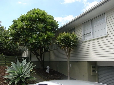 Residential  Mixed Housing Suburban Zone