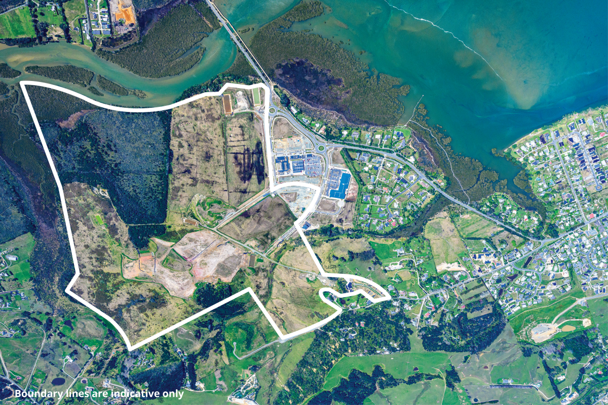 83 Molesworth Drive, Mangawhai, Kaipara, 0 침실, 1 욕실, Office Building