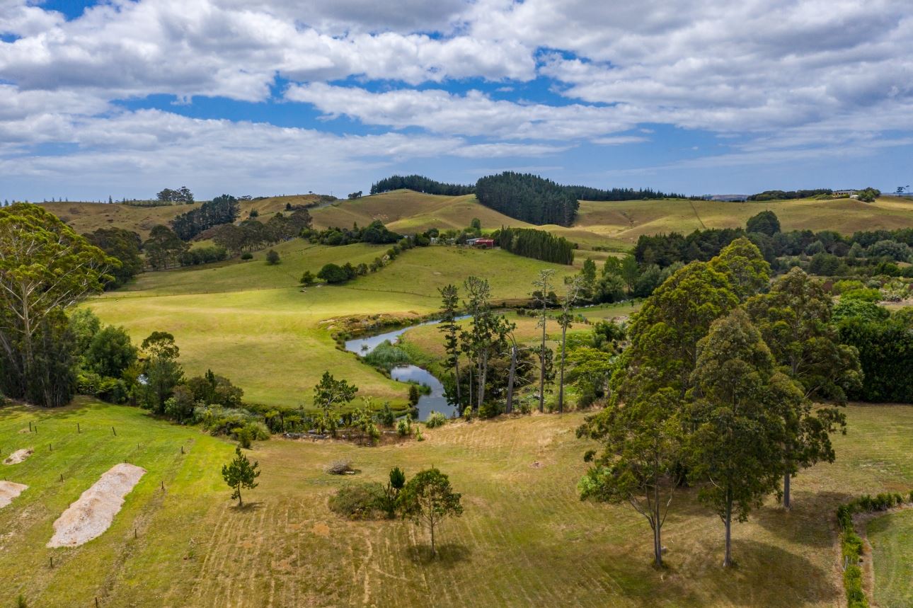 Equestrian Drive, Kerikeri, Far North, 0 habitaciones, 1 baños