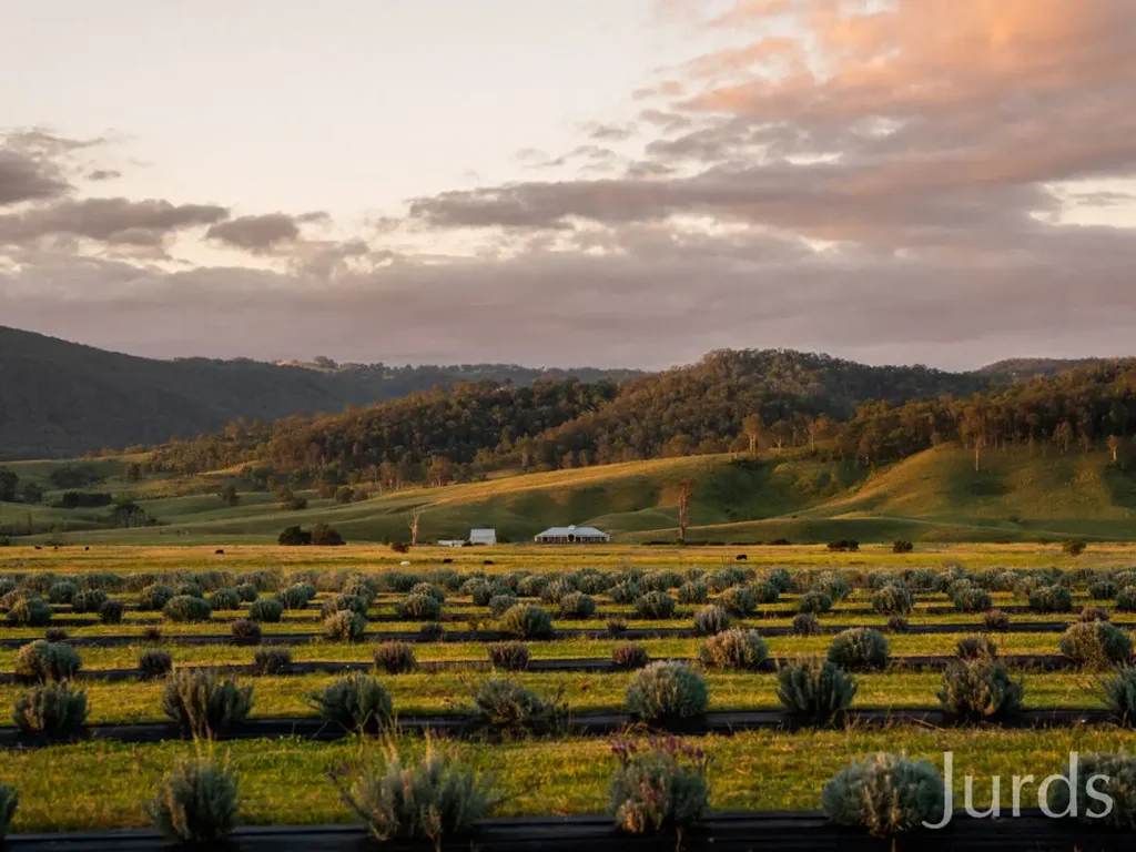 Dalwood Koorakai - Hunter Valley Riverfront Homestead