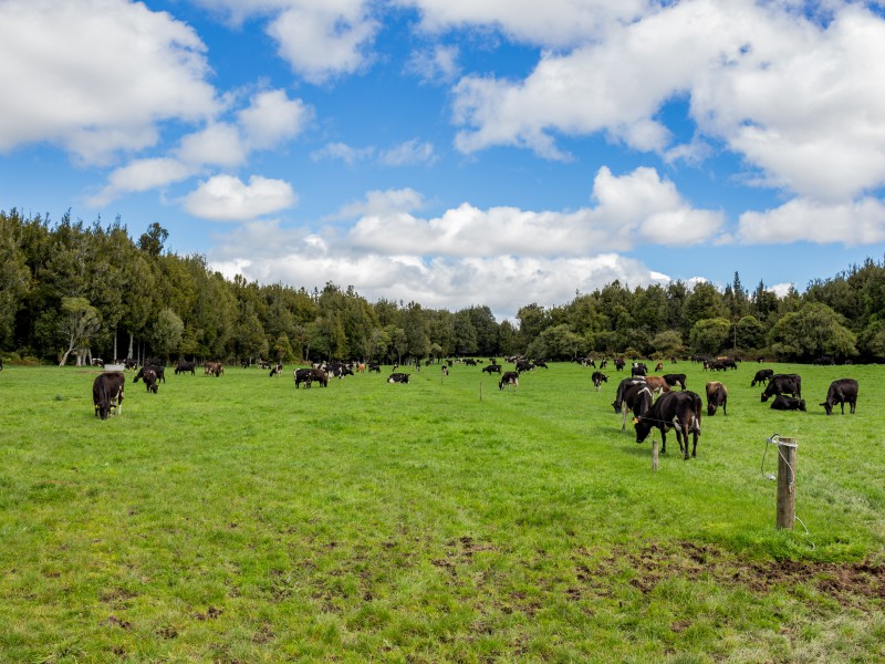 506 Tauranga Direct Road, Hamurana, Rotorua, 0 રૂમ, 0 બાથરૂમ