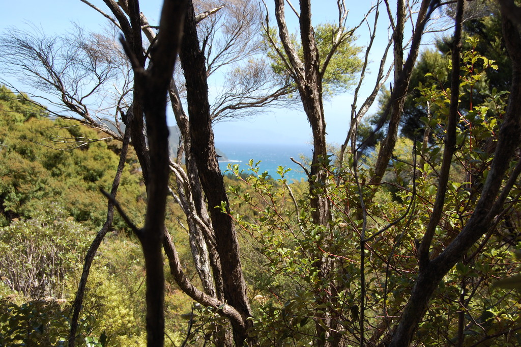 224b Blind Bay Road, Great Barrier Island (Aotea Island), Auckland, 0 habitaciones, 0 baños