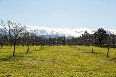 417 Upper Plain Road, Masterton, Wairarapa, 0 침실, 0 욕실, Lifestyle Section
