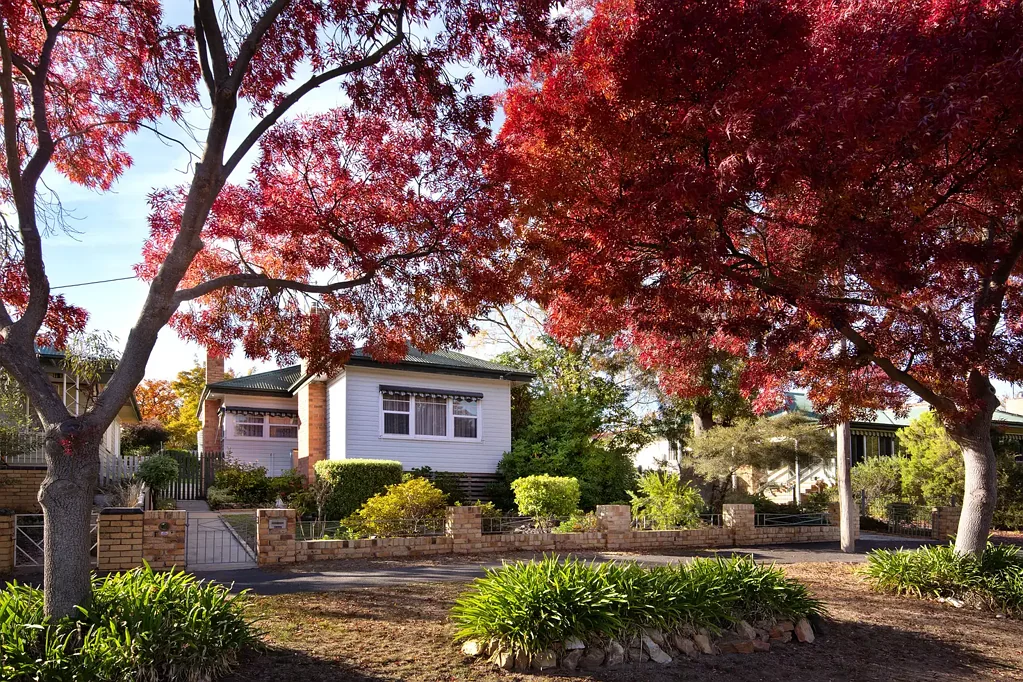 Castlemaine 3 Slaapkamer ‘Alinga’ – Elevated Mid-Century Charm circa 1957