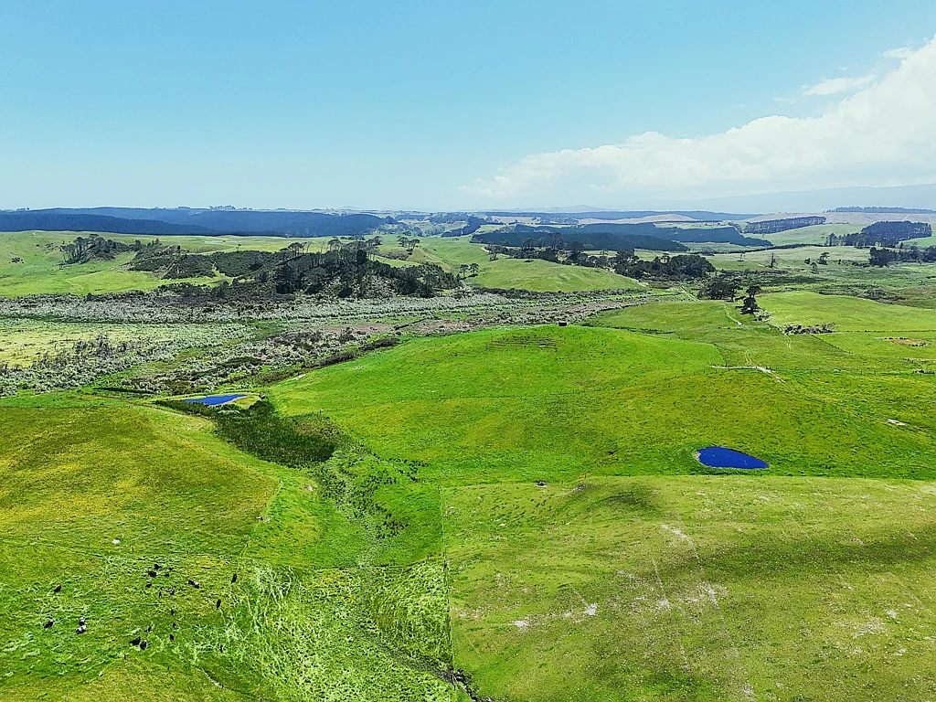 Dargaville  80.67ha Rural Opportunity - Close to Town