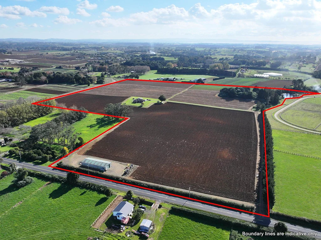 Pukekohe 4Moenga 19.69ha Landholding with Strong Income