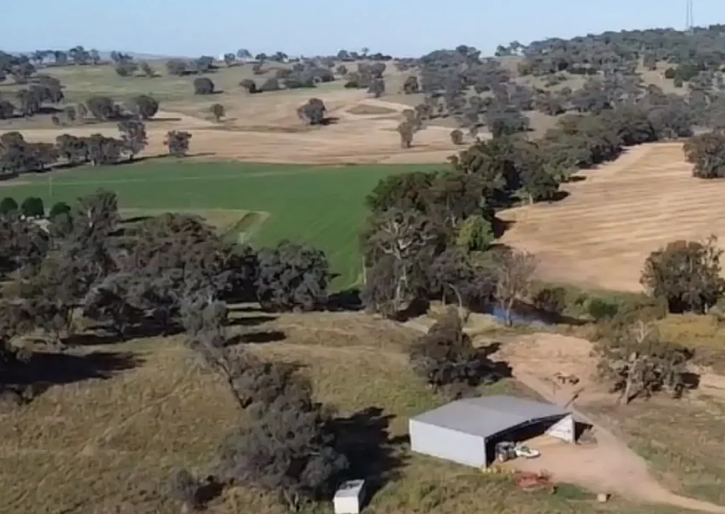 Canowindra  Rare River Frontage4km to Town with Self Watering Flats + Irrigation Bore