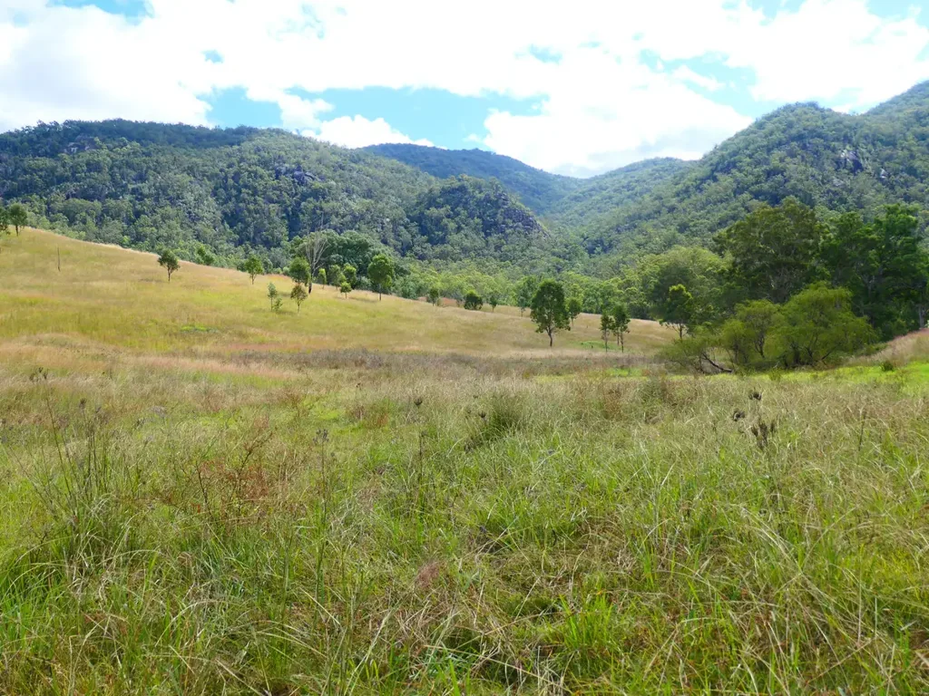 Rocky River PITKINS PADDOCK