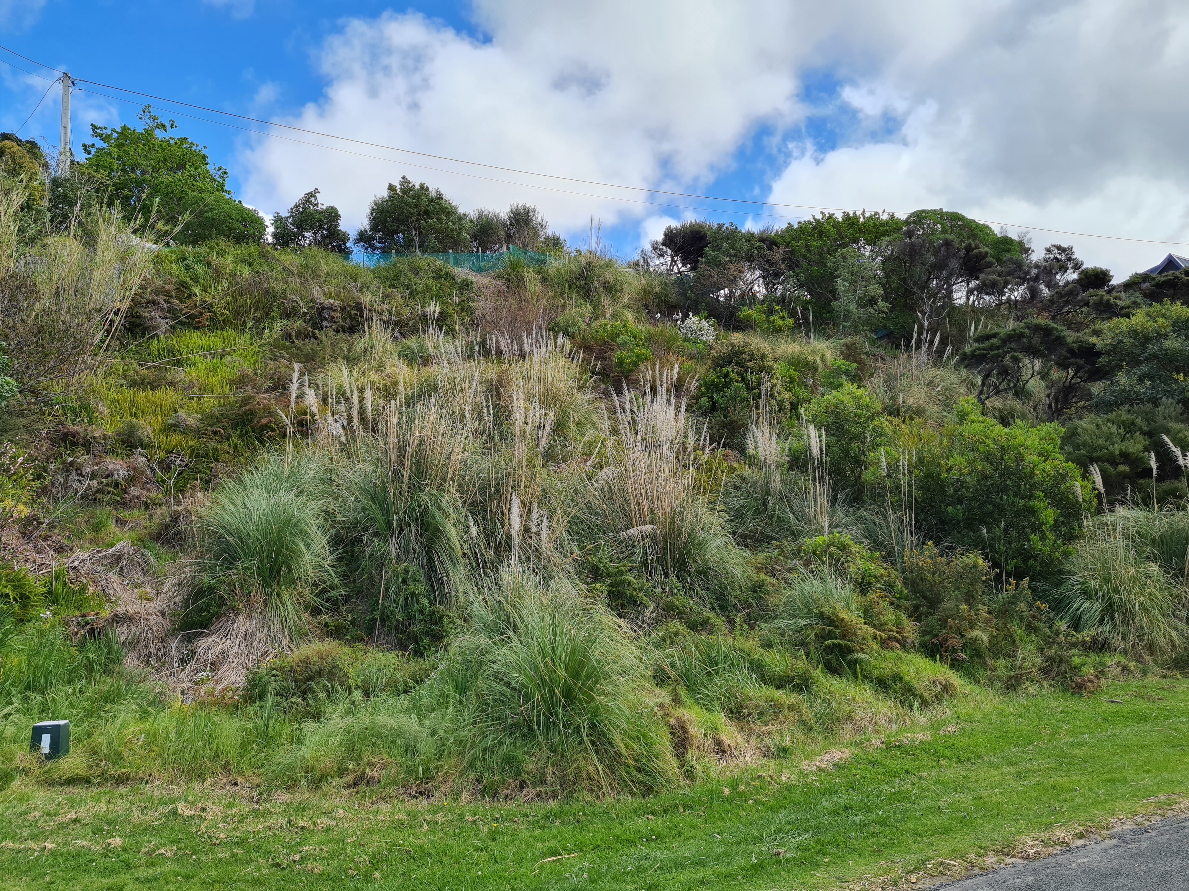 24 Lincoln Street, Mangawhai Heads, Kaipara, 0 phòng ngủ, 0 phòng tắm