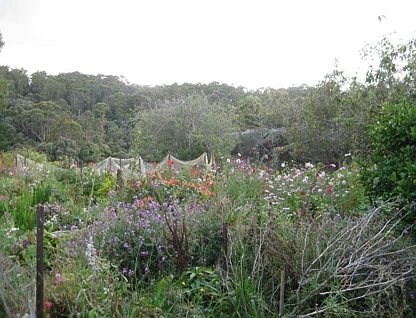 519 Lapoinya Road, Lapoinya, West and North West, 2房, 1浴, Lifestyle Property