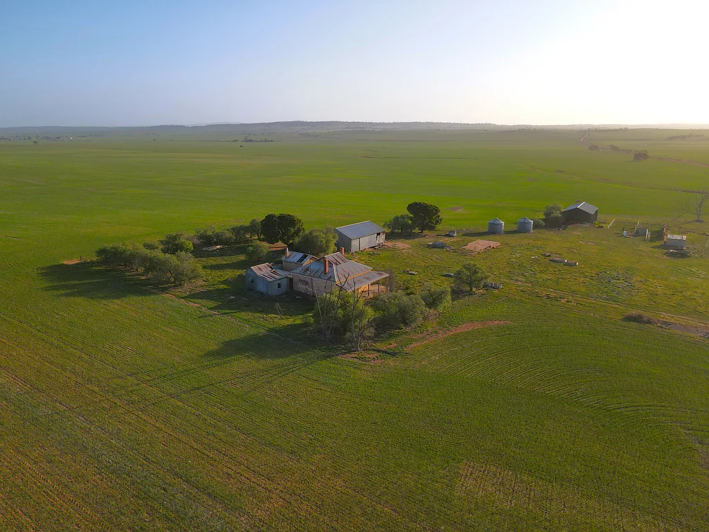 Booleroo Centre ?Old Farm?