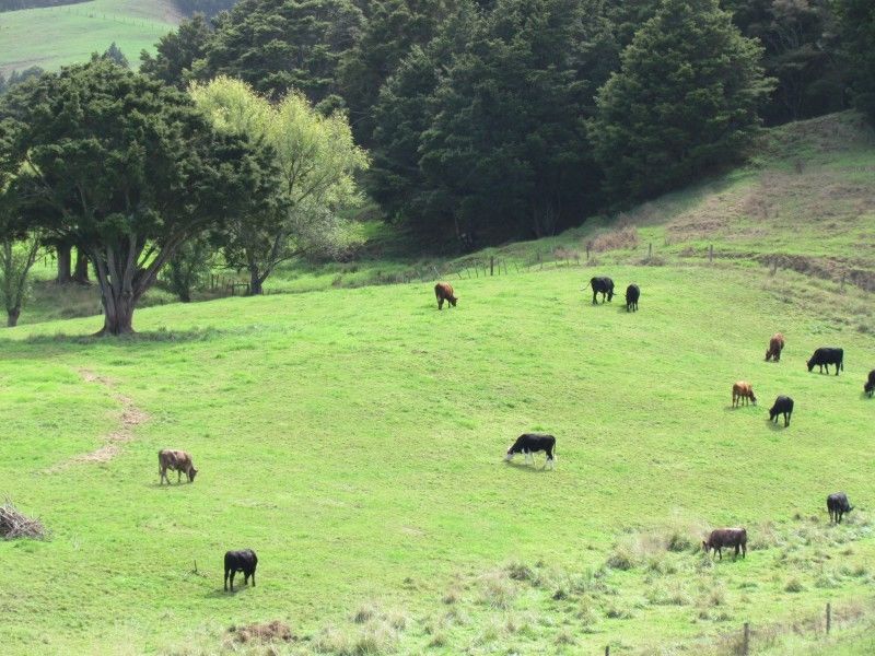 189 Taipuha Sett Road, Otamatea Surrounds, Kaipara, 0 habitaciones, 0 baños