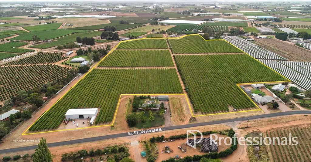 Red Cliffs  Fresh Fruit Property on 13.5Ha in Red Cliffs