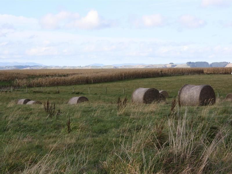 338 Leedstown Road, Hunterville, Rangitikei, 0 ਕਮਰੇ, 1 ਬਾਥਰੂਮ