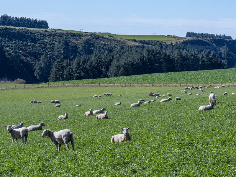 875 Esk Valley Road, Otaio, Waimate, 0 Kuwarto, 0 Banyo