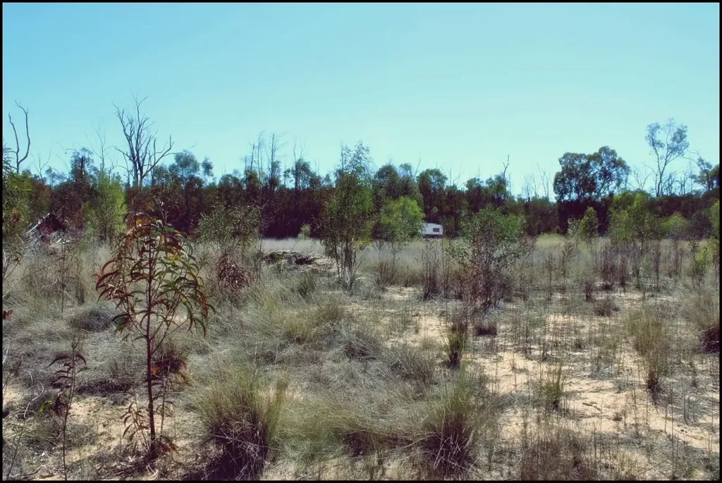 Forest Ridge 24.76 Acres of Pure Freedom – Dual Road Frontage & No Covenants!