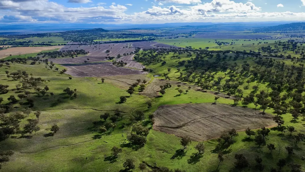 Willow Tree  Distinguished Liverpool Plains Mixed Farming Holding