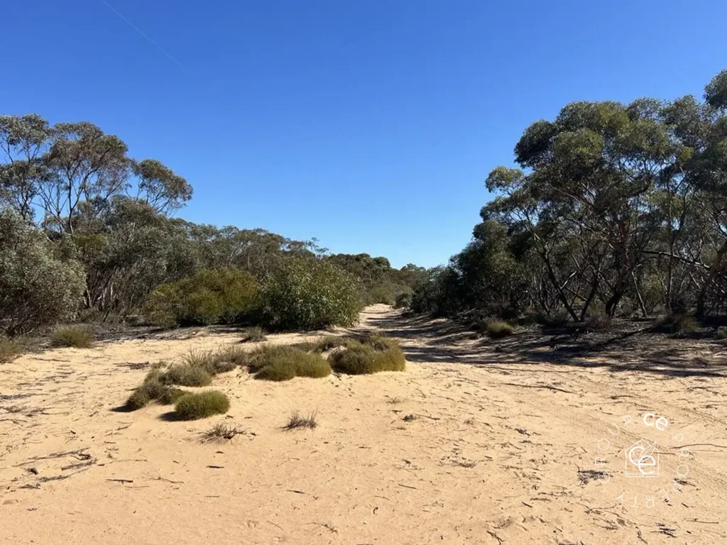Lot 31 Black Hill Road, Cambrai, SA 5353