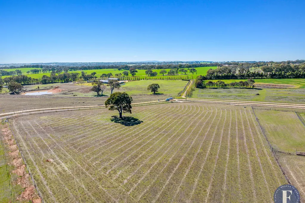 Young Acreage Dream!