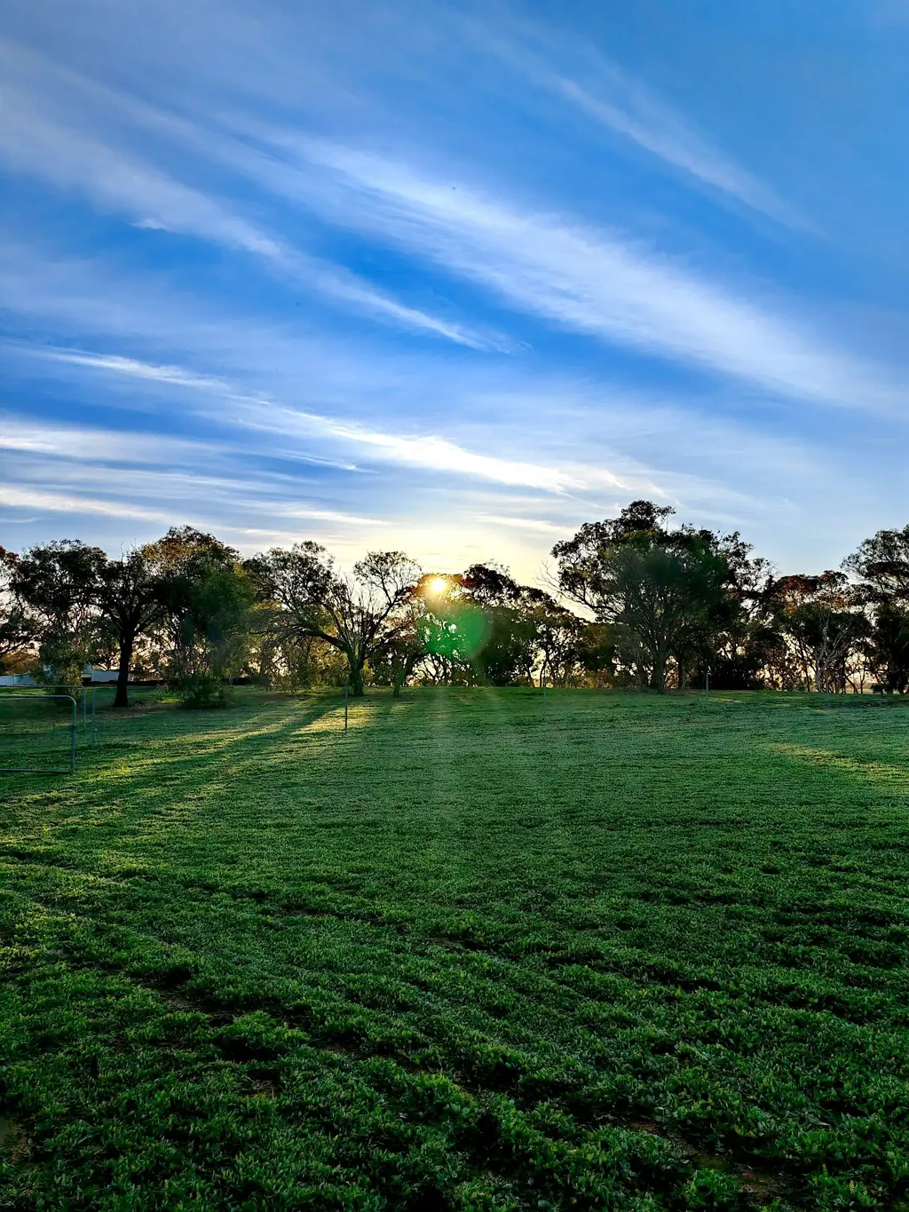 Corrigin  Multiple Residence Lifestyle Acreage