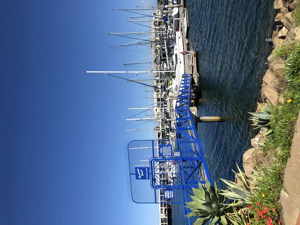 North Haven Secure Single 14m Berth in Prime Location