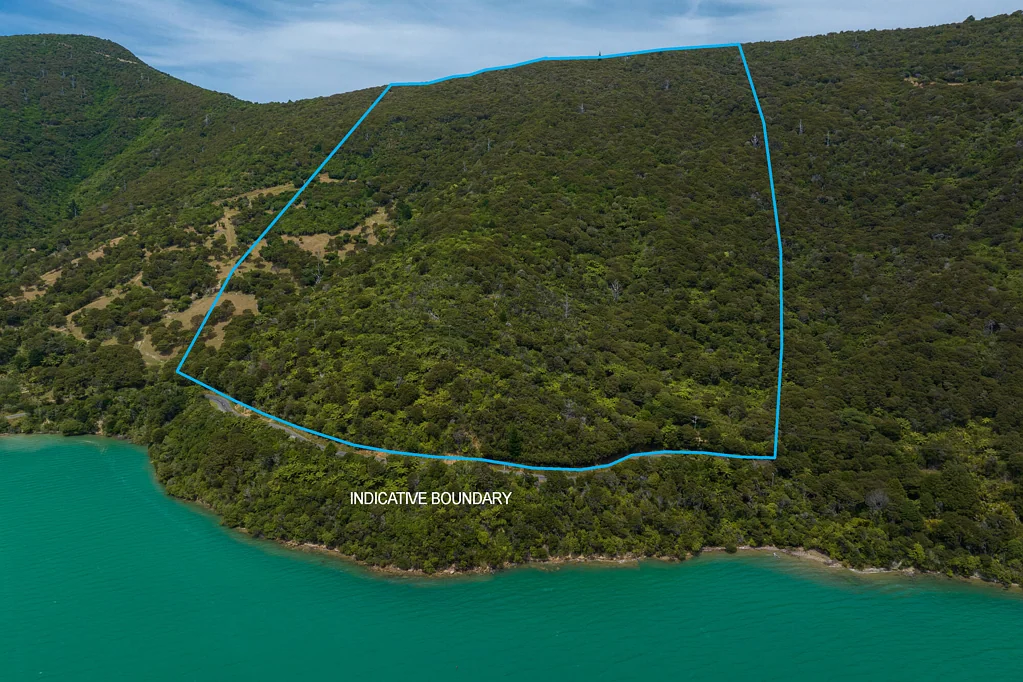 Marlborough Sounds  Seven Stunning Sections in Kenepuru Sound